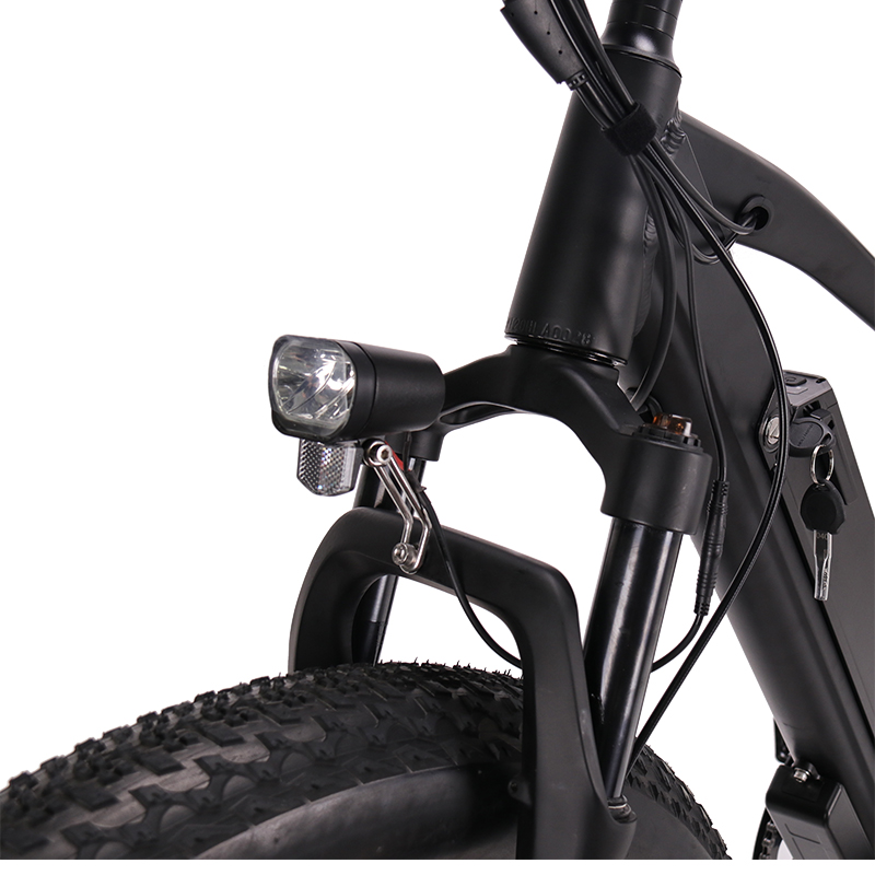 Off Road 750 Watt Electric Bike