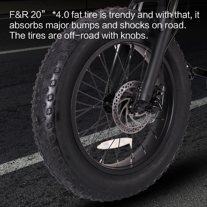 Fastest Fat Tire Electric Bike